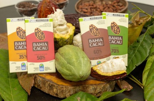 Bahia Cacau gera renda e transforma vidas no campo