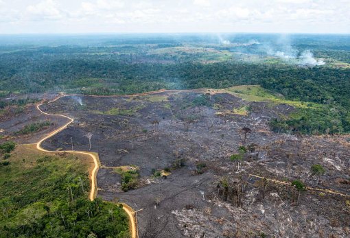 Governo libera R$ 337 mi para combate a incêndios e desmatamento