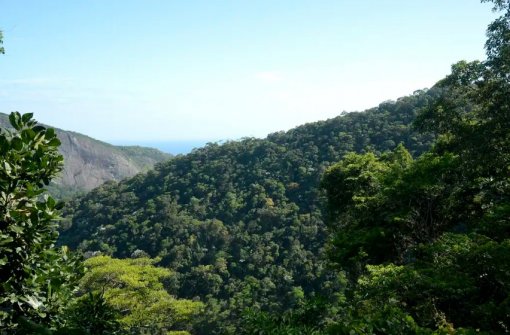 Plano mobiliza R$ 500 bi para financiamento sustentável no Brasil