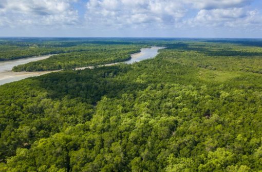 Área queimada no Brasil cai 31% em 2025