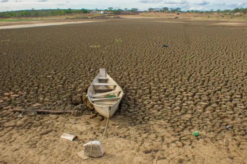 Brasil promete restaurar 163 mil km² de terras até 2030