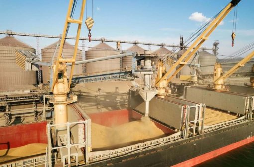 Portos poderão agilizar desembarque de fertilizantes para safra