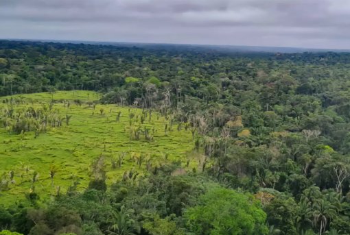 Imazon aponta desmatamento zero em 60% das TIs da Amazônia