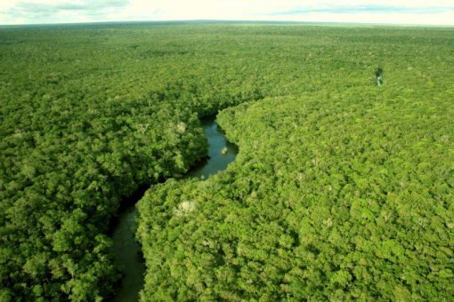 Desmatamento cai 41,8% na Amazônia e 23,8% no Cerrado em um ano